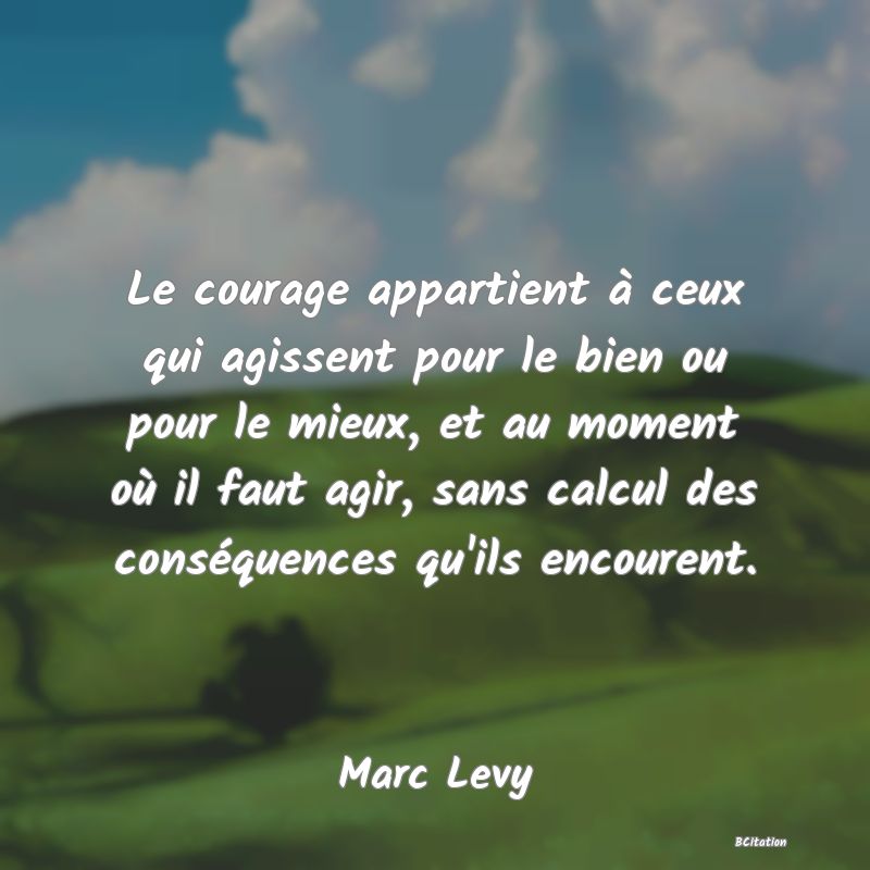 image de citation: Le courage appartient à ceux qui agissent pour le bien ou pour le mieux, et au moment où il faut agir, sans calcul des conséquences qu'ils encourent.