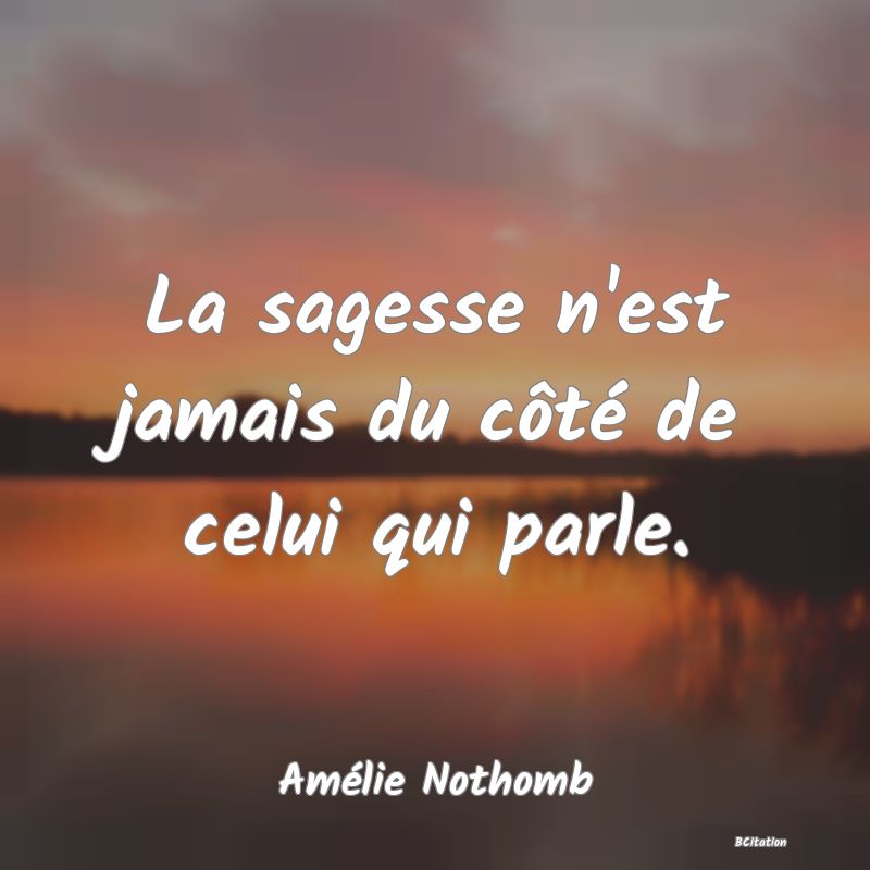 image de citation: La sagesse n'est jamais du côté de celui qui parle.