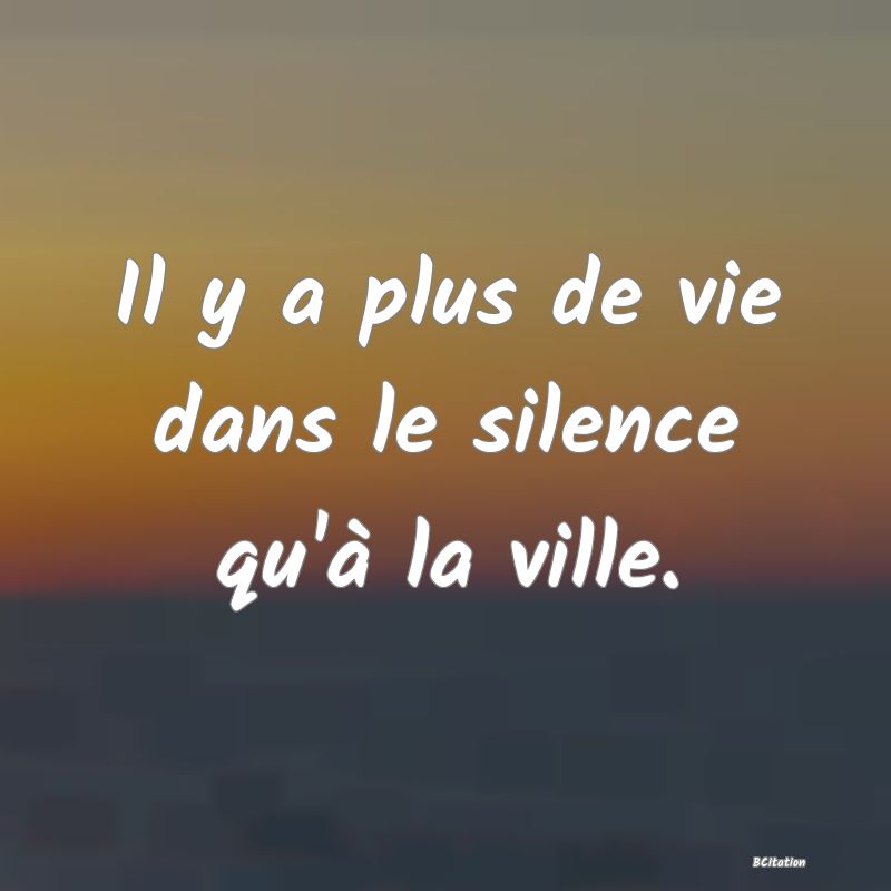 image de citation: Il y a plus de vie dans le silence qu'à la ville.