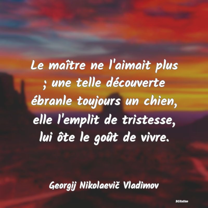 image de citation: Le maître ne l'aimait plus ; une telle découverte ébranle toujours un chien, elle l'emplit de tristesse, lui ôte le goût de vivre.