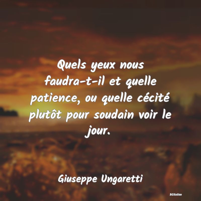 image de citation: Quels yeux nous faudra-t-il et quelle patience, ou quelle cécité plutôt pour soudain voir le jour.