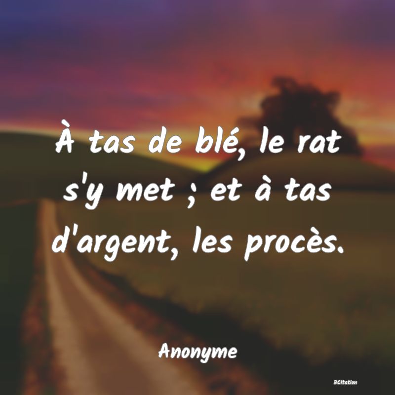 image de citation: À tas de blé, le rat s'y met ; et à tas d'argent, les procès.