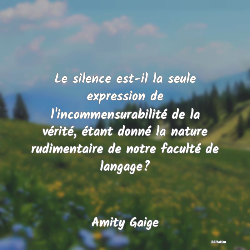 image de citation: Le silence est-il la seule expression de l'incommensurabilité de la vérité, étant donné la nature rudimentaire de notre faculté de langage?