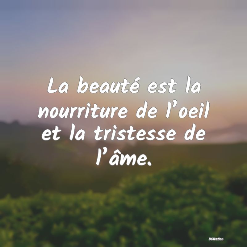 image de citation: La beauté est la nourriture de l’oeil et la tristesse de l’âme.