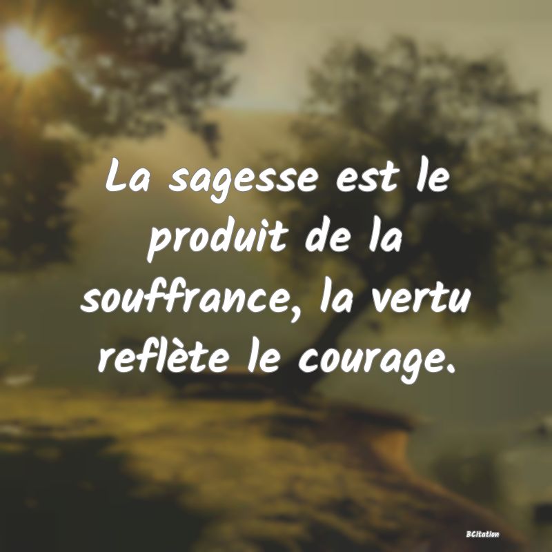 image de citation: La sagesse est le produit de la souffrance, la vertu reflète le courage.