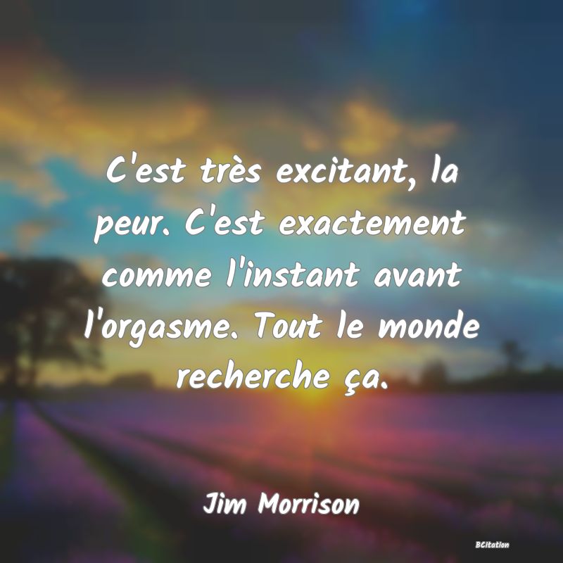 image de citation: C'est très excitant, la peur. C'est exactement comme l'instant avant l'orgasme. Tout le monde recherche ça.