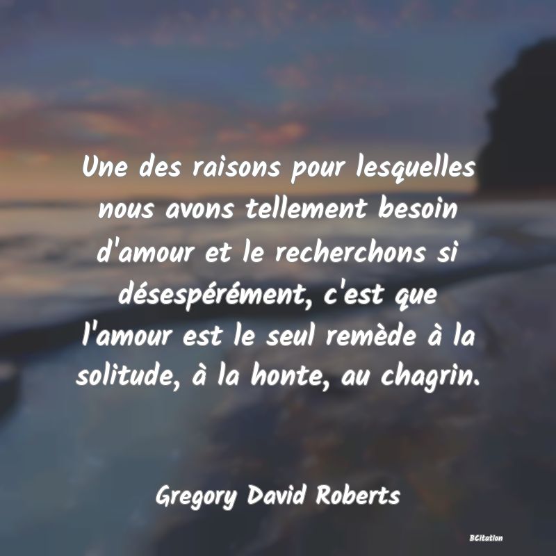 image de citation: Une des raisons pour lesquelles nous avons tellement besoin d'amour et le recherchons si désespérément, c'est que l'amour est le seul remède à la solitude, à la honte, au chagrin.