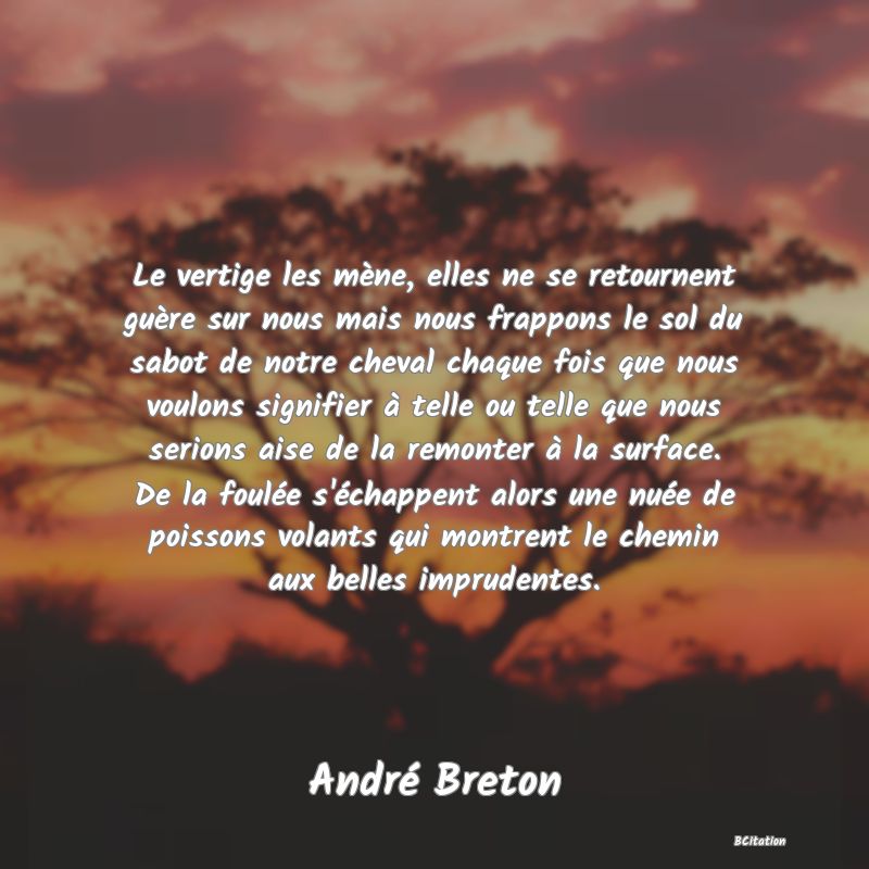 image de citation: Le vertige les mène, elles ne se retournent guère sur nous mais nous frappons le sol du sabot de notre cheval chaque fois que nous voulons signifier à telle ou telle que nous serions aise de la remonter à la surface. De la foulée s'échappent alors une nuée de poissons volants qui montrent le chemin aux belles imprudentes.