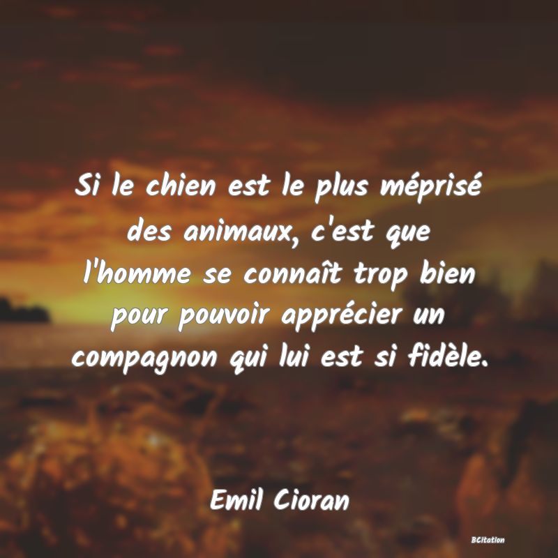 image de citation: Si le chien est le plus méprisé des animaux, c'est que l'homme se connaît trop bien pour pouvoir apprécier un compagnon qui lui est si fidèle.