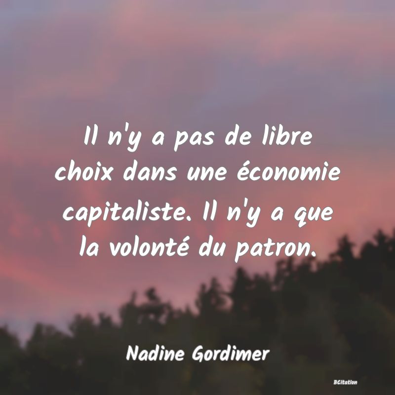 image de citation: Il n'y a pas de libre choix dans une économie capitaliste. Il n'y a que la volonté du patron.