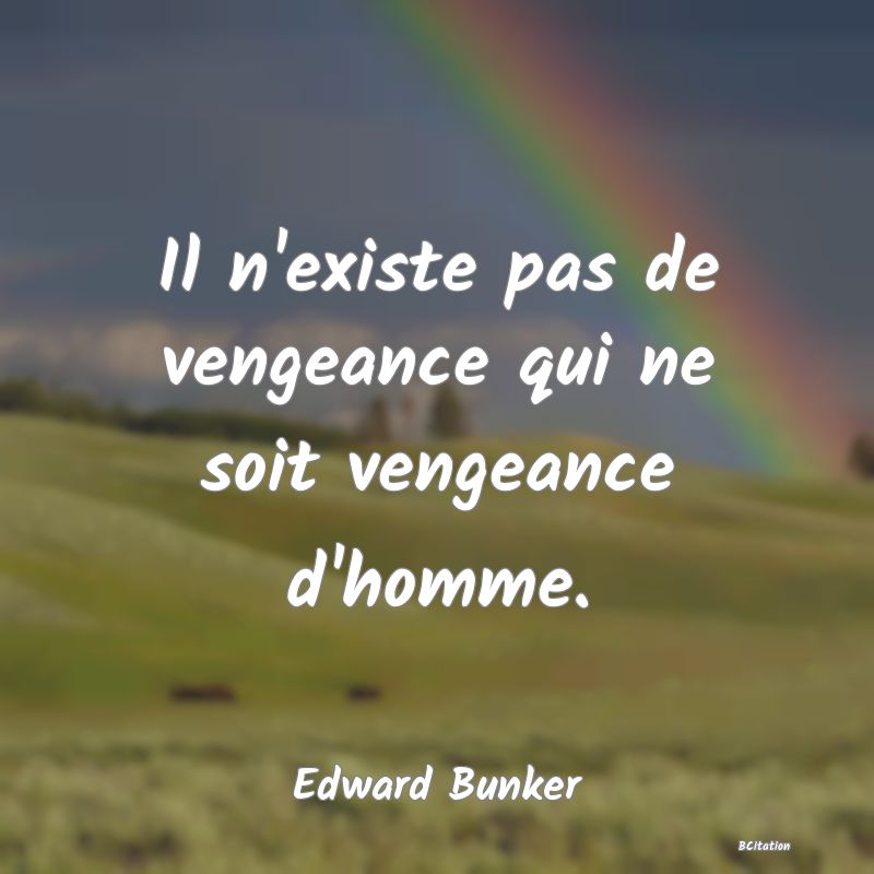 image de citation: Il n'existe pas de vengeance qui ne soit vengeance d'homme.