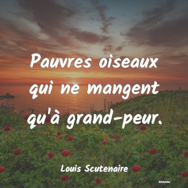 Belle Citation - Pauvres oiseaux qui ne mangent qu'à grand-peur. - Louis Scutenaire