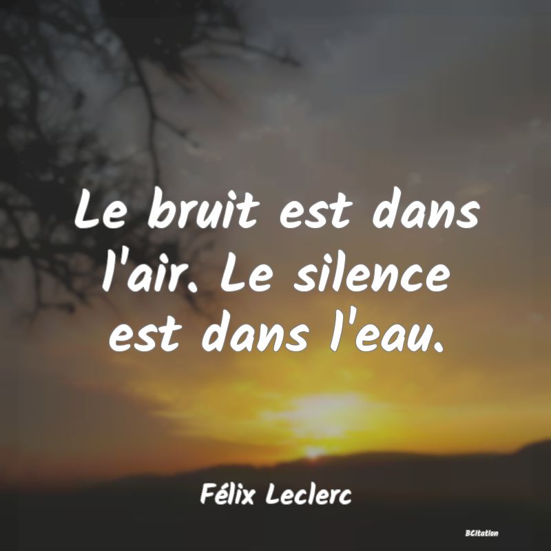 image de citation: Le bruit est dans l'air. Le silence est dans l'eau.