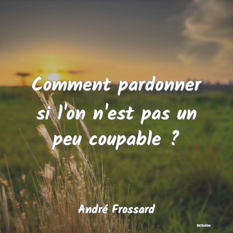 Belle Citation - Comment pardonner si l'on n'est pas un peu coupable ? - André Frossard