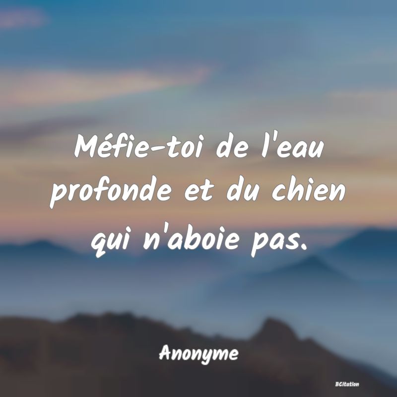 image de citation: Méfie-toi de l'eau profonde et du chien qui n'aboie pas.