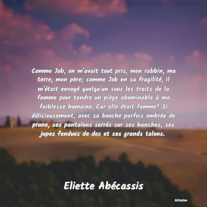 image de citation: Comme Job, on m'avait tout pris, mon rabbin, ma terre, mon père; comme Job en sa fragilité, il m'était envoyé quelqu'un sous les traits de la femme pour tendre un piège abominable à ma faiblesse humaine. Car elle était femme! Si délicieusement, avec sa bouche parfois ombrée de prune, ses pantalons serrés sur ses hanches, ses jupes fendues de dos et ses grands talons.