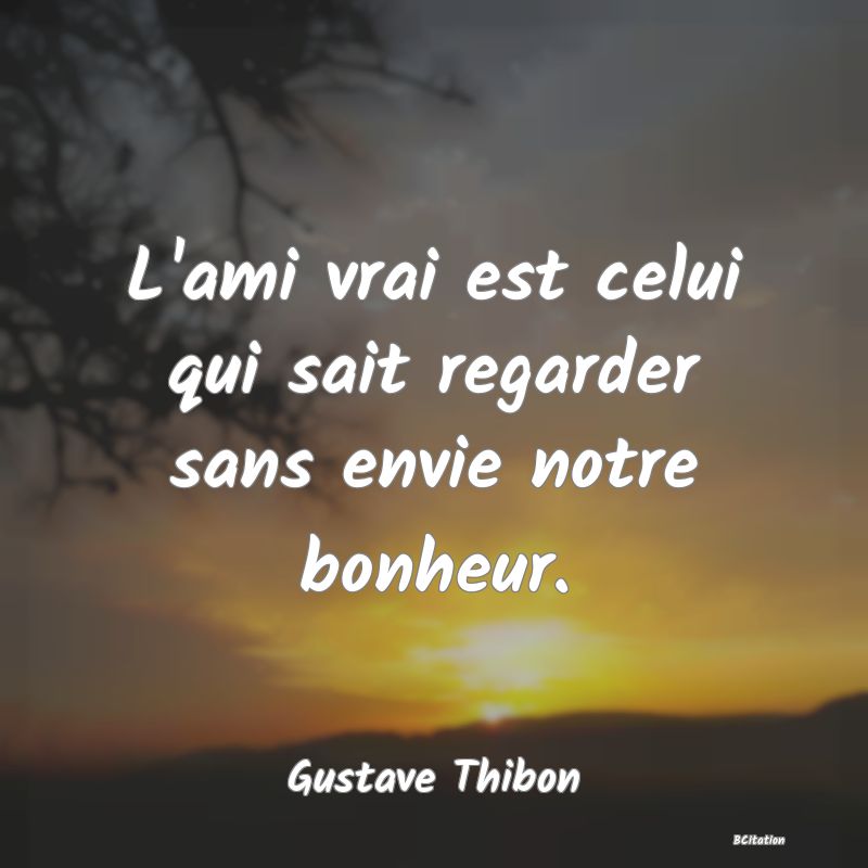 image de citation: L'ami vrai est celui qui sait regarder sans envie notre bonheur.