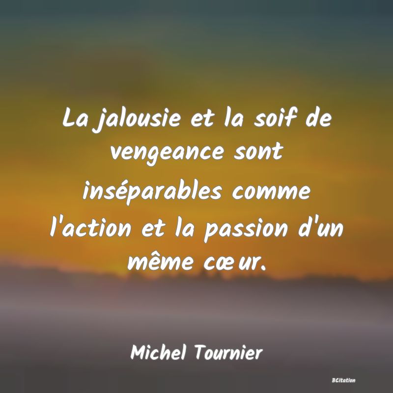 image de citation: La jalousie et la soif de vengeance sont inséparables comme l'action et la passion d'un même cœur.