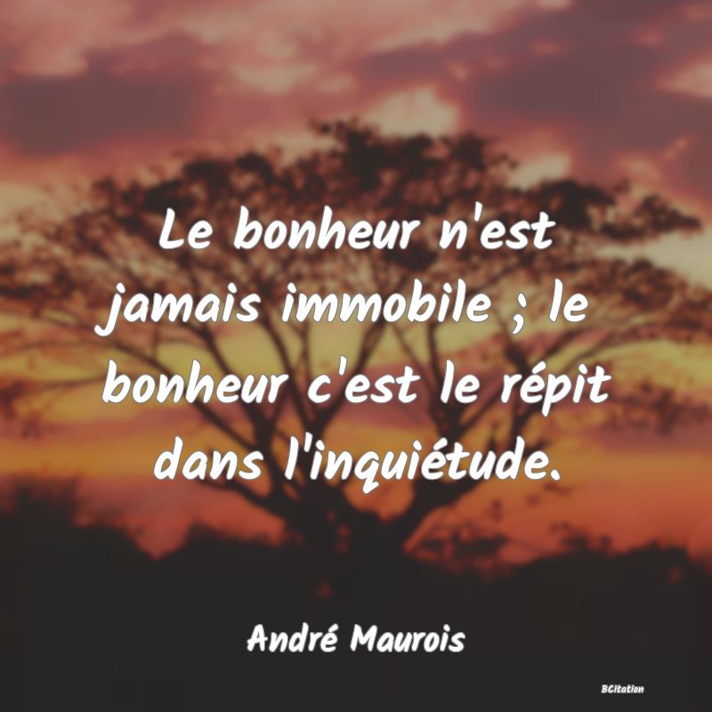 image de citation: Le bonheur n'est jamais immobile ; le bonheur c'est le répit dans l'inquiétude.