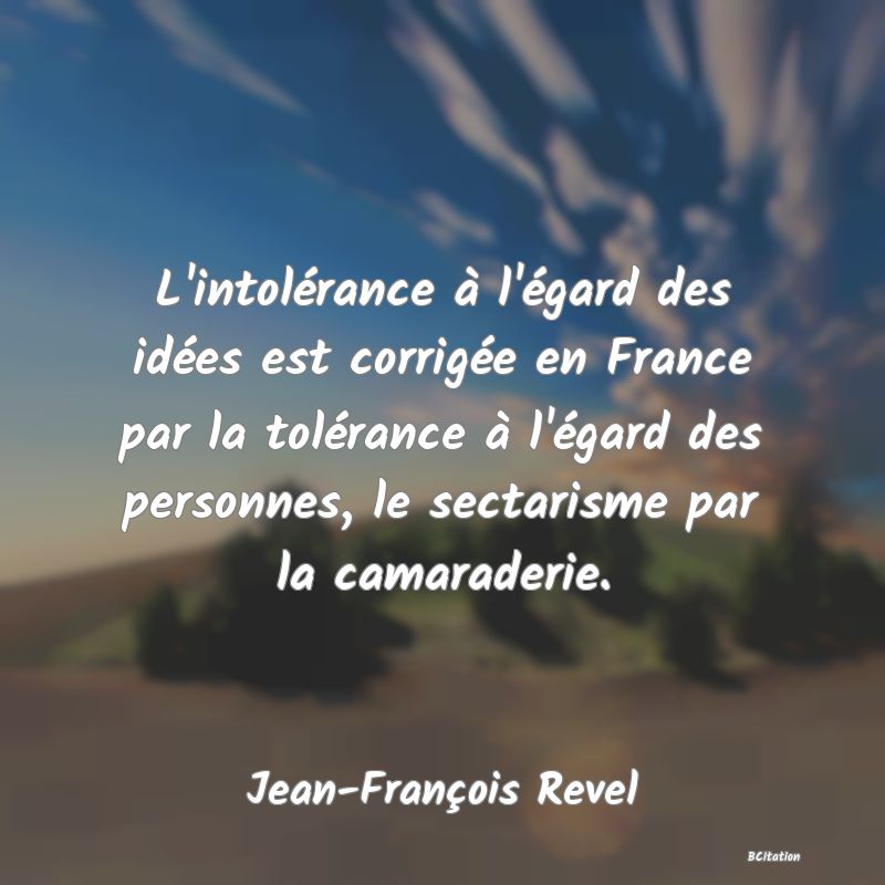image de citation: L'intolérance à l'égard des idées est corrigée en France par la tolérance à l'égard des personnes, le sectarisme par la camaraderie.