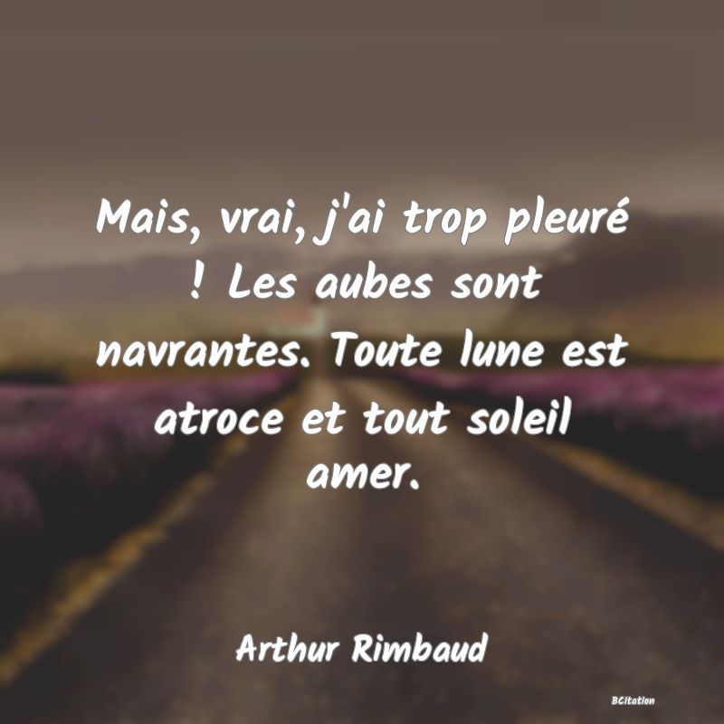 Belle Citation - Mais, vrai, j'ai trop pleuré ! Les aubes sont navrantes. Toute lune est atroce et tout soleil amer. - Arthur Rimbaud