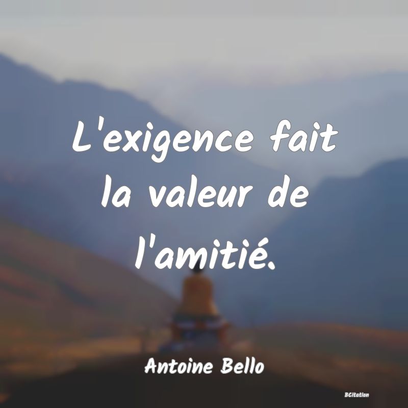 image de citation: L'exigence fait la valeur de l'amitié.