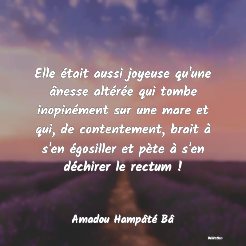 image de citation: Elle était aussi joyeuse qu'une ânesse altérée qui tombe inopinément sur une mare et qui, de contentement, brait à s'en égosiller et pète à s'en déchirer le rectum !