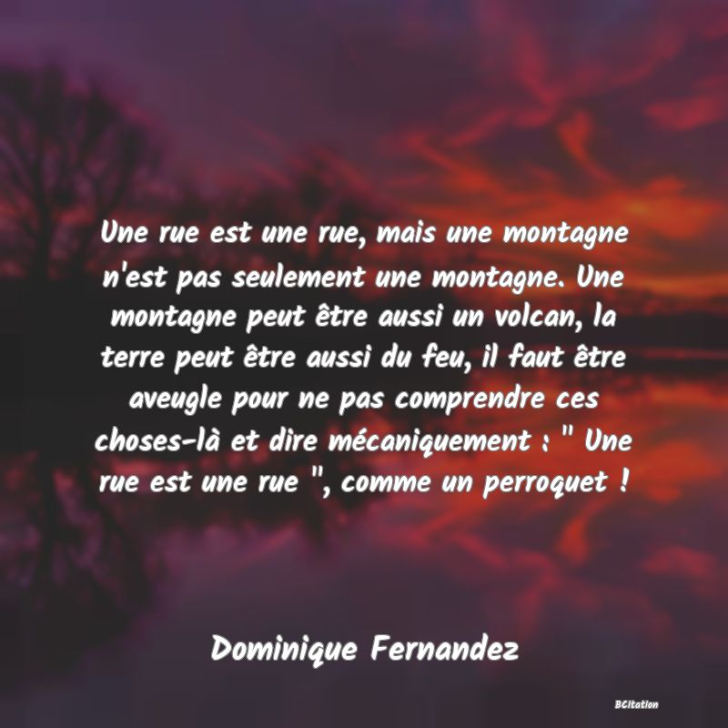 image de citation: Une rue est une rue, mais une montagne n'est pas seulement une montagne. Une montagne peut être aussi un volcan, la terre peut être aussi du feu, il faut être aveugle pour ne pas comprendre ces choses-là et dire mécaniquement :   Une rue est une rue  , comme un perroquet !