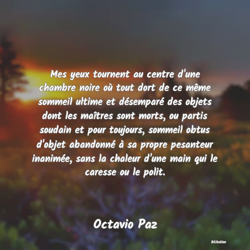 image de citation: Mes yeux tournent au centre d'une chambre noire où tout dort de ce même sommeil ultime et désemparé des objets dont les maîtres sont morts, ou partis soudain et pour toujours, sommeil obtus d'objet abandonné à sa propre pesanteur inanimée, sans la chaleur d'une main qui le caresse ou le polit.