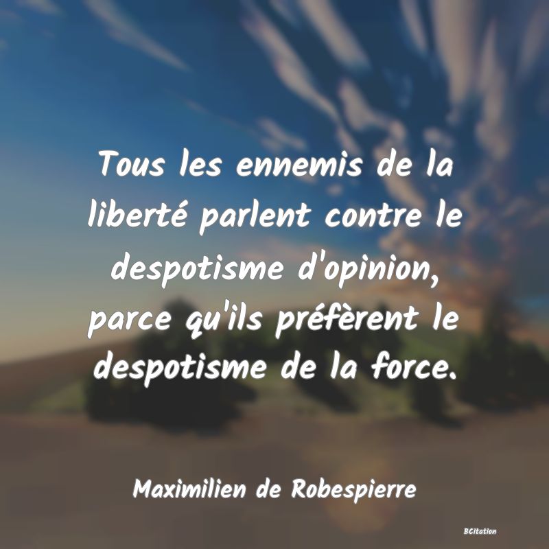 image de citation: Tous les ennemis de la liberté parlent contre le despotisme d'opinion, parce qu'ils préfèrent le despotisme de la force.