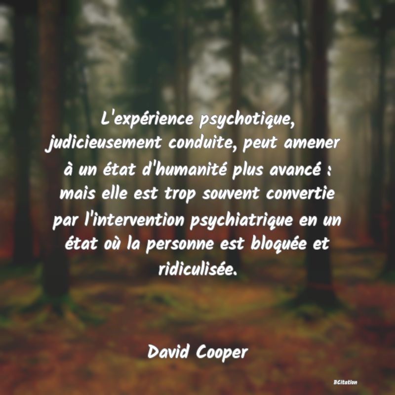 image de citation: L'expérience psychotique, judicieusement conduite, peut amener à un état d'humanité plus avancé : mais elle est trop souvent convertie par l'intervention psychiatrique en un état où la personne est bloquée et ridiculisée.