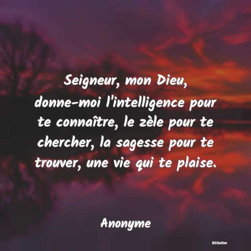 image de citation: Seigneur, mon Dieu, donne-moi l'intelligence pour te connaître, le zèle pour te chercher, la sagesse pour te trouver, une vie qui te plaise.