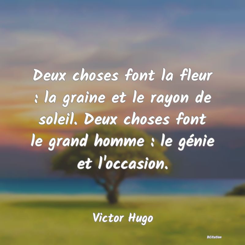 image de citation: Deux choses font la fleur : la graine et le rayon de soleil. Deux choses font le grand homme : le génie et l'occasion.