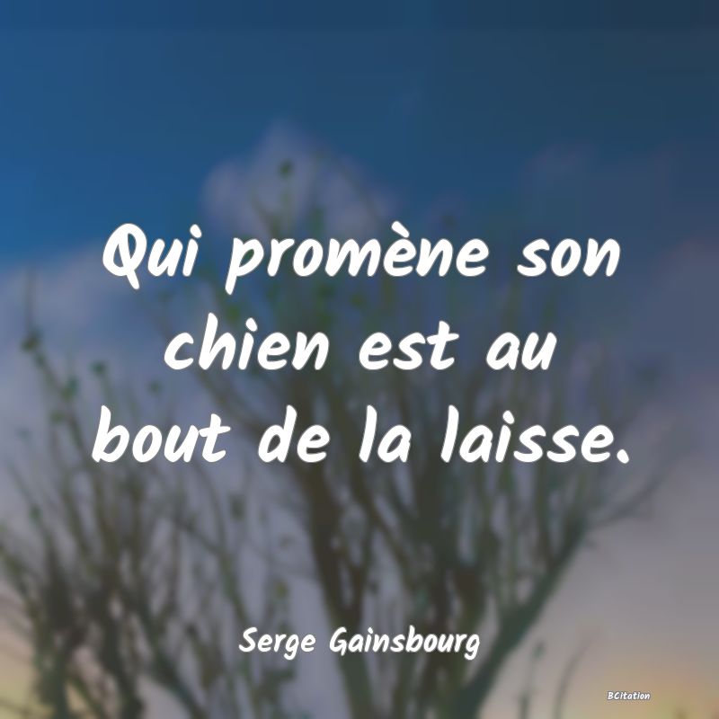 image de citation: Qui promène son chien est au bout de la laisse.