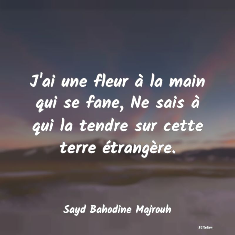 image de citation: J'ai une fleur à la main qui se fane, Ne sais à qui la tendre sur cette terre étrangère.