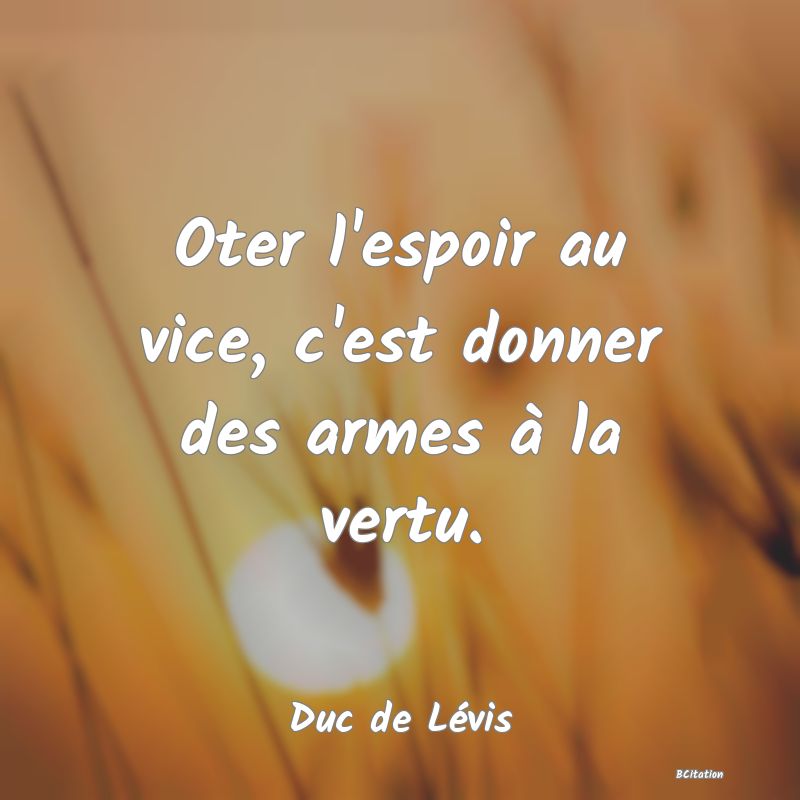 image de citation: Oter l'espoir au vice, c'est donner des armes à la vertu.