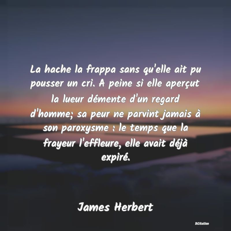 image de citation: La hache la frappa sans qu'elle ait pu pousser un cri. A peine si elle aperçut la lueur démente d'un regard d'homme; sa peur ne parvint jamais à son paroxysme : le temps que la frayeur l'effleure, elle avait déjà expiré.