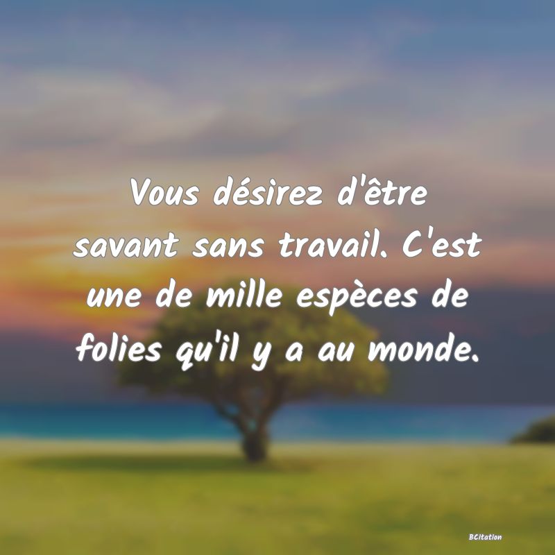 Belle Citation - Vous désirez d'être savant sans travail. C'est une de mille espèces de folies qu'il y a au monde. - 