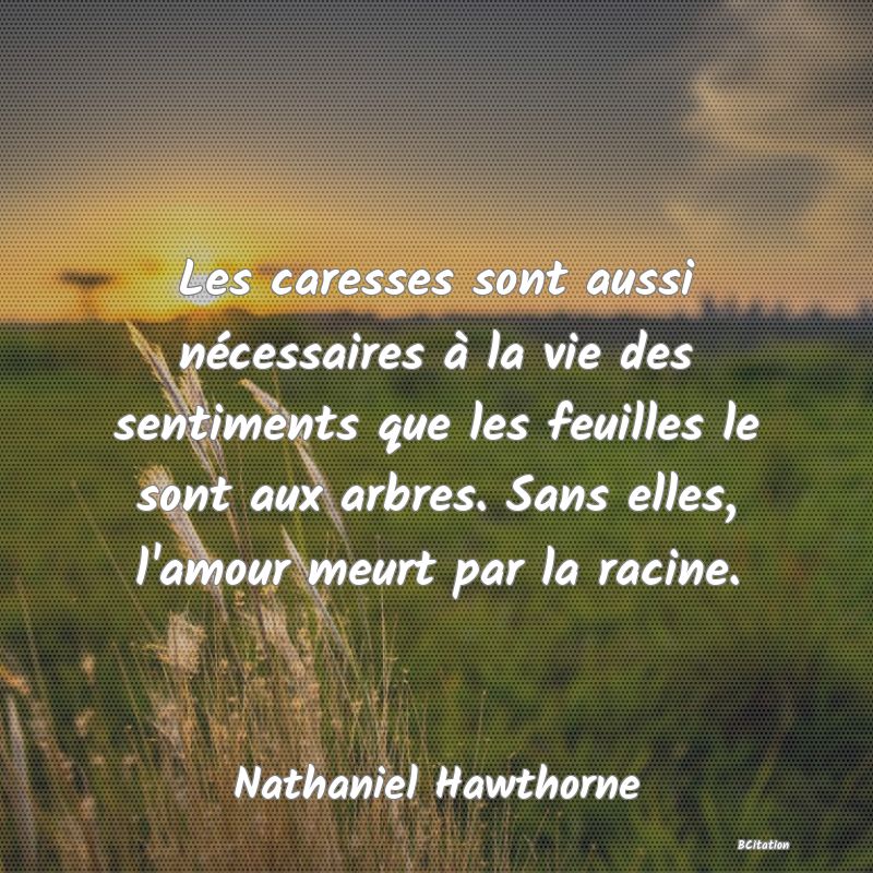 image de citation: Les caresses sont aussi nécessaires à la vie des sentiments que les feuilles le sont aux arbres. Sans elles, l'amour meurt par la racine.