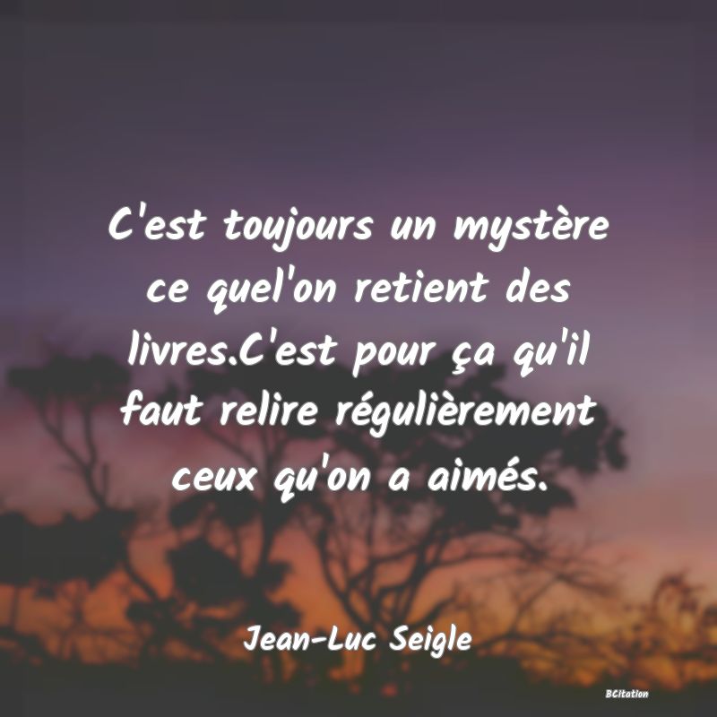 image de citation: C'est toujours un mystère ce quel'on retient des livres.C'est pour ça qu'il faut relire régulièrement ceux qu'on a aimés.