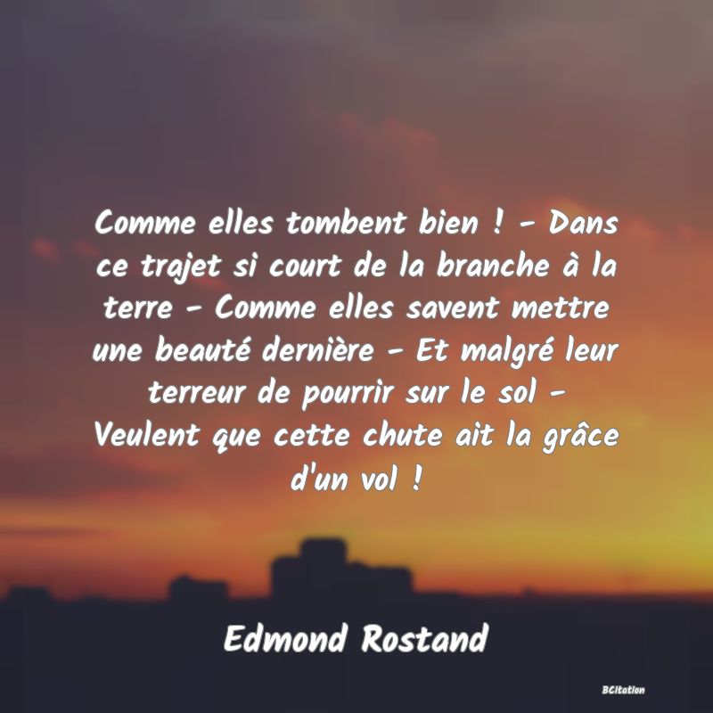 image de citation: Comme elles tombent bien ! - Dans ce trajet si court de la branche à la terre - Comme elles savent mettre une beauté dernière - Et malgré leur terreur de pourrir sur le sol - Veulent que cette chute ait la grâce d'un vol !