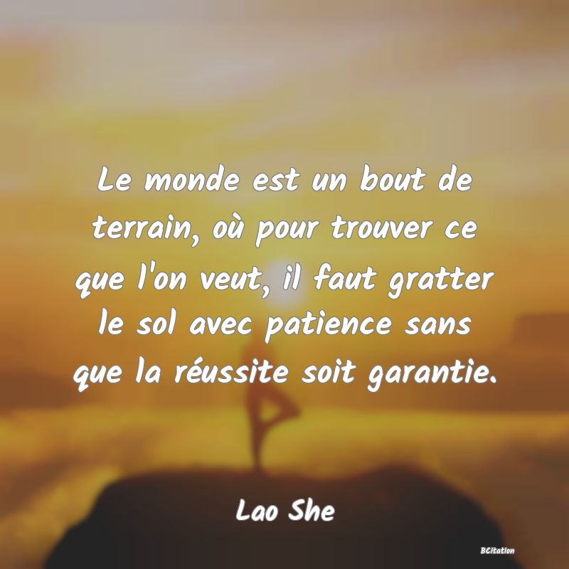 image de citation: Le monde est un bout de terrain, où pour trouver ce que l'on veut, il faut gratter le sol avec patience sans que la réussite soit garantie.