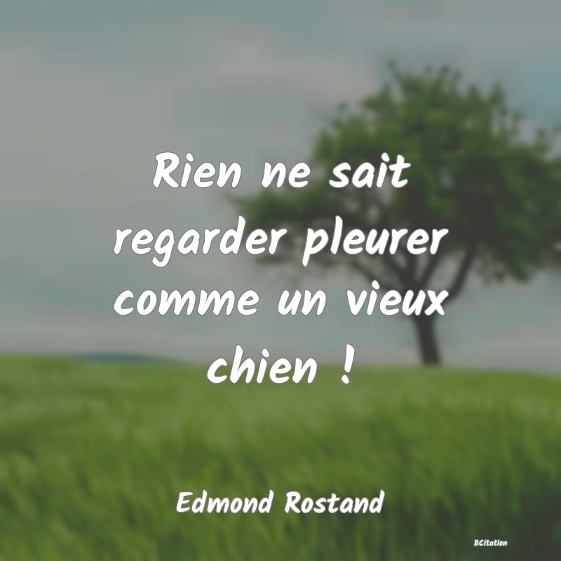 image de citation: Rien ne sait regarder pleurer comme un vieux chien !