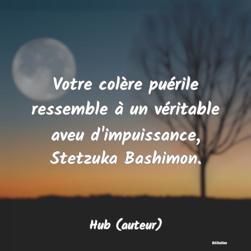 image de citation: Votre colère puérile ressemble à un véritable aveu d'impuissance, Stetzuka Bashimon.