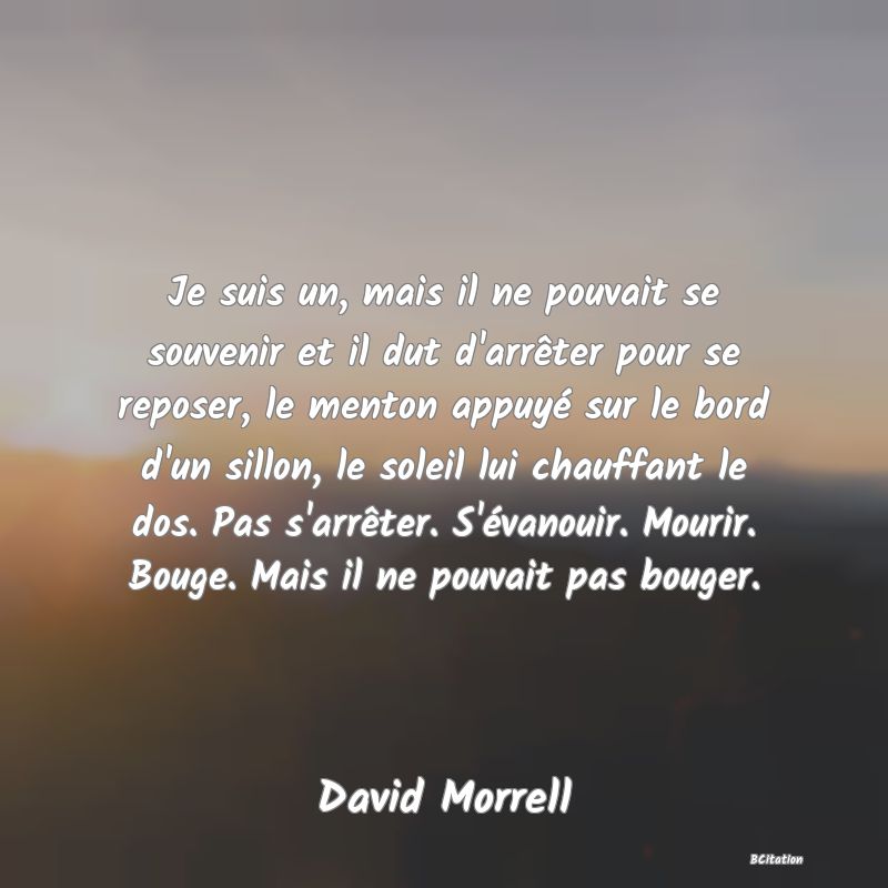 image de citation: Je suis un, mais il ne pouvait se souvenir et il dut d'arrêter pour se reposer, le menton appuyé sur le bord d'un sillon, le soleil lui chauffant le dos. Pas s'arrêter. S'évanouir. Mourir. Bouge. Mais il ne pouvait pas bouger.