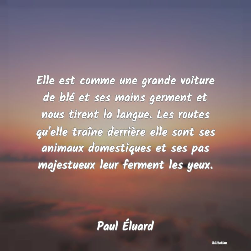 image de citation: Elle est comme une grande voiture de blé et ses mains germent et nous tirent la langue. Les routes qu'elle traîne derrière elle sont ses animaux domestiques et ses pas majestueux leur ferment les yeux.