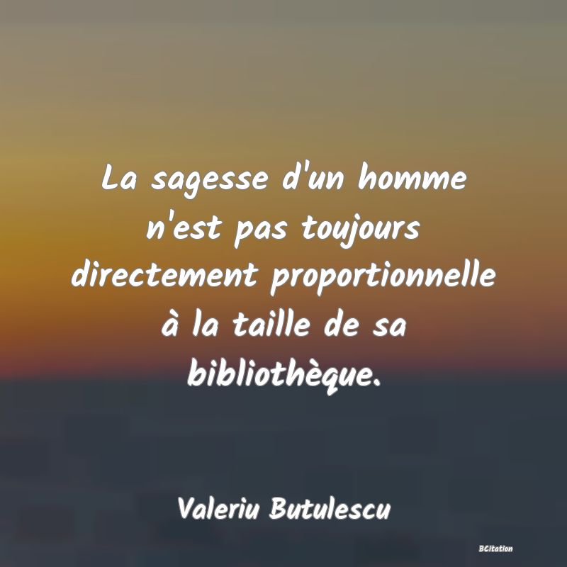 image de citation: La sagesse d'un homme n'est pas toujours directement proportionnelle à la taille de sa bibliothèque.