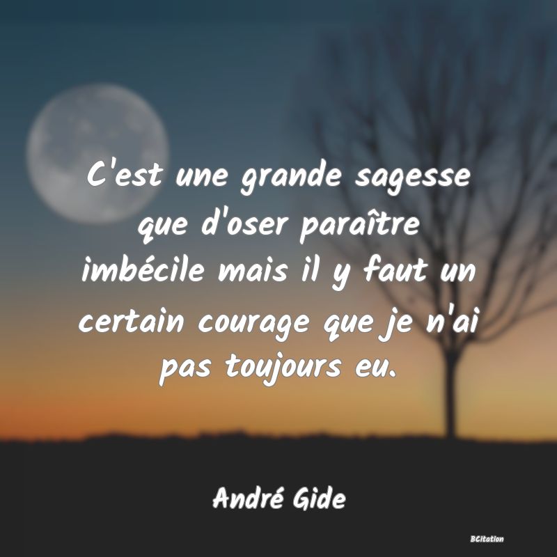 image de citation: C'est une grande sagesse que d'oser paraître imbécile mais il y faut un certain courage que je n'ai pas toujours eu.