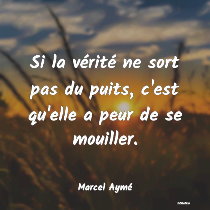 image de citation: Si la vérité ne sort pas du puits, c'est qu'elle a peur de se mouiller.