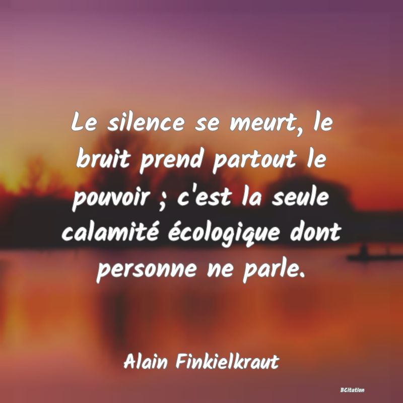 Belle Citation - Le silence se meurt, le bruit prend partout le pouvoir ; c'est la seule calamité écologique dont personne ne parle. - Alain Finkielkraut